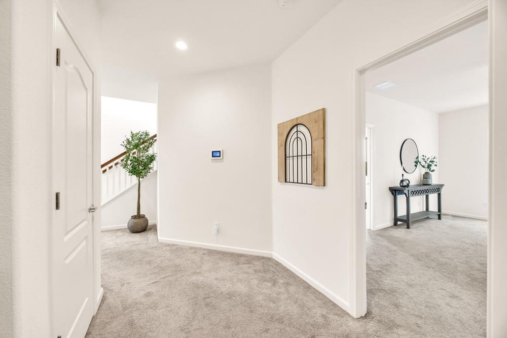 4021 Neapolis Lane