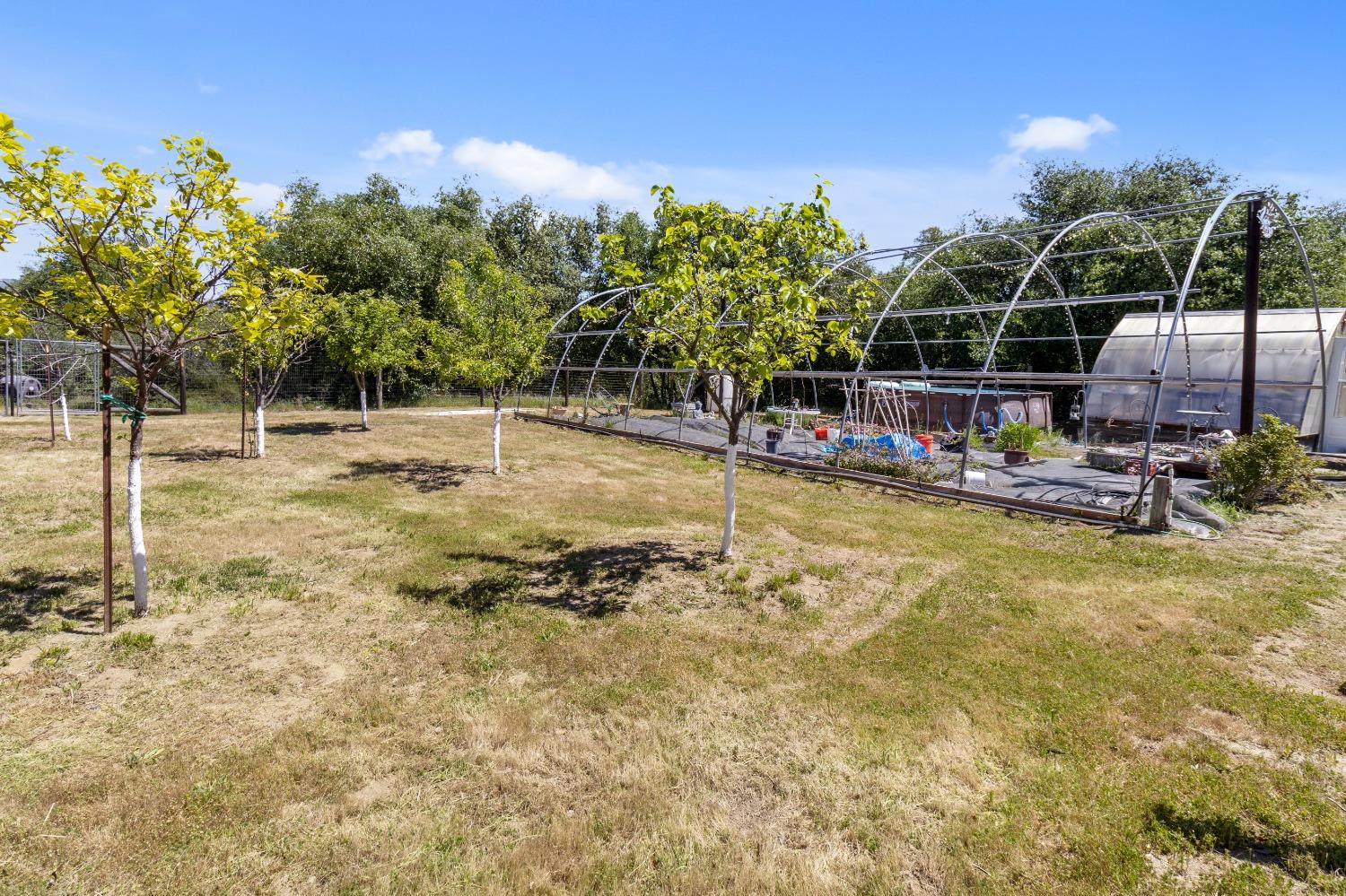 9593 Quail Meadow Lane