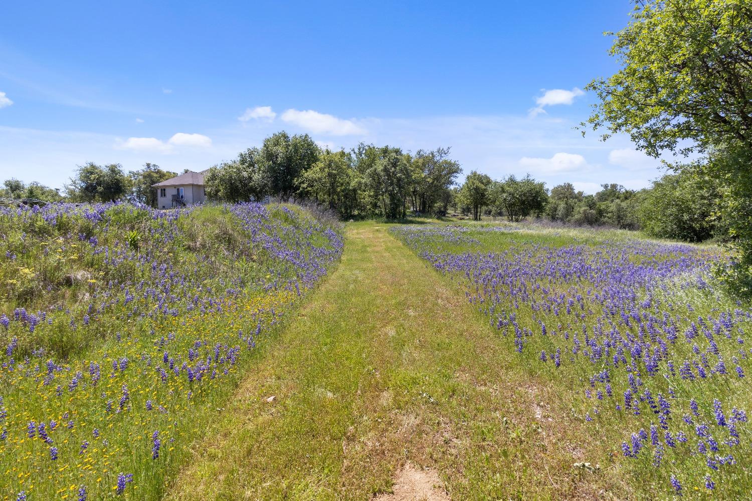 9593 Quail Meadow Lane