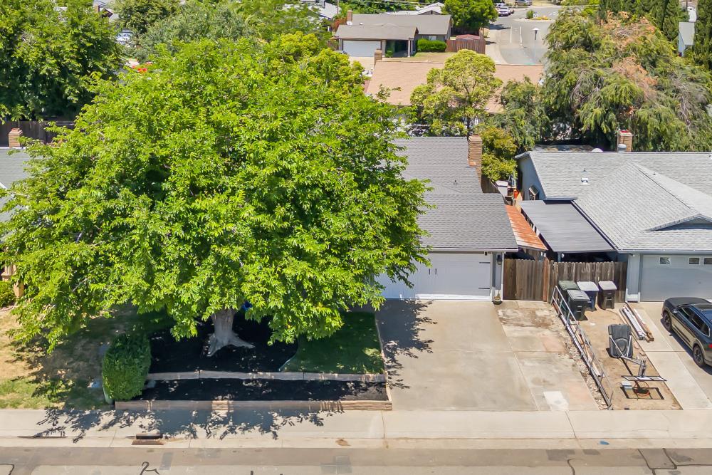 6541 Bitterbush Way