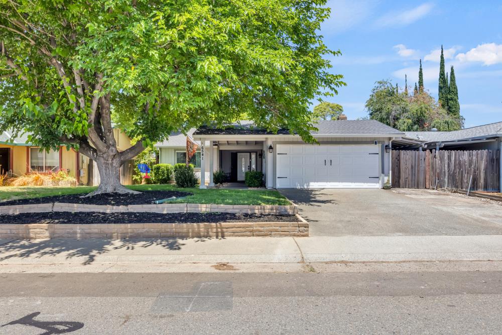 6541 Bitterbush Way