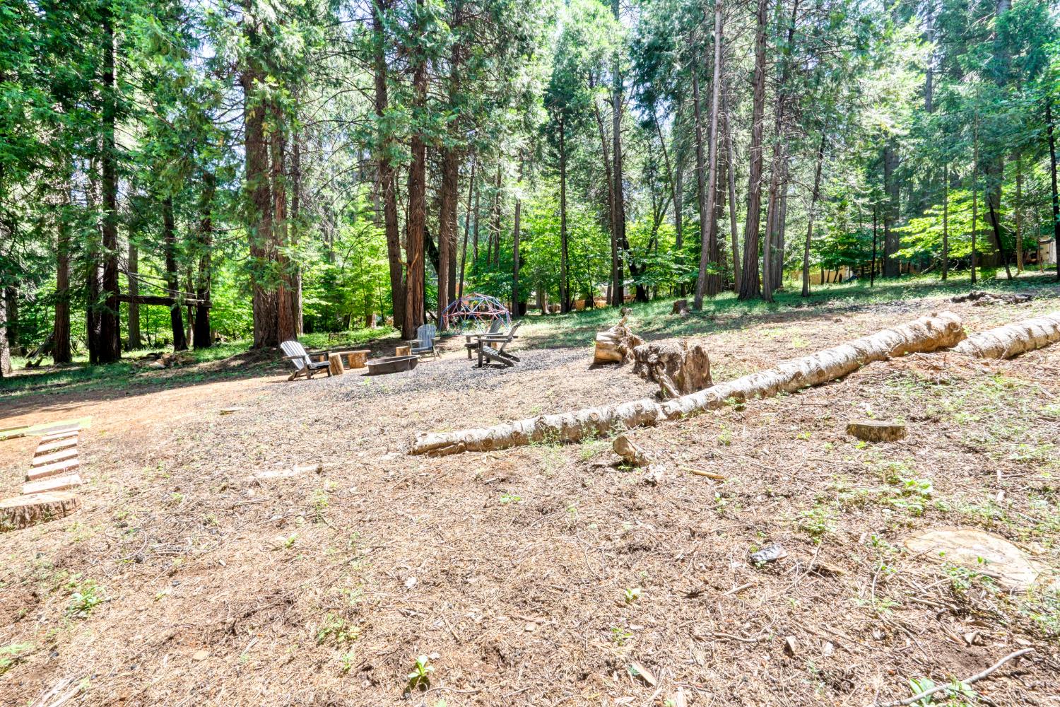 6236 Bucktail Lane