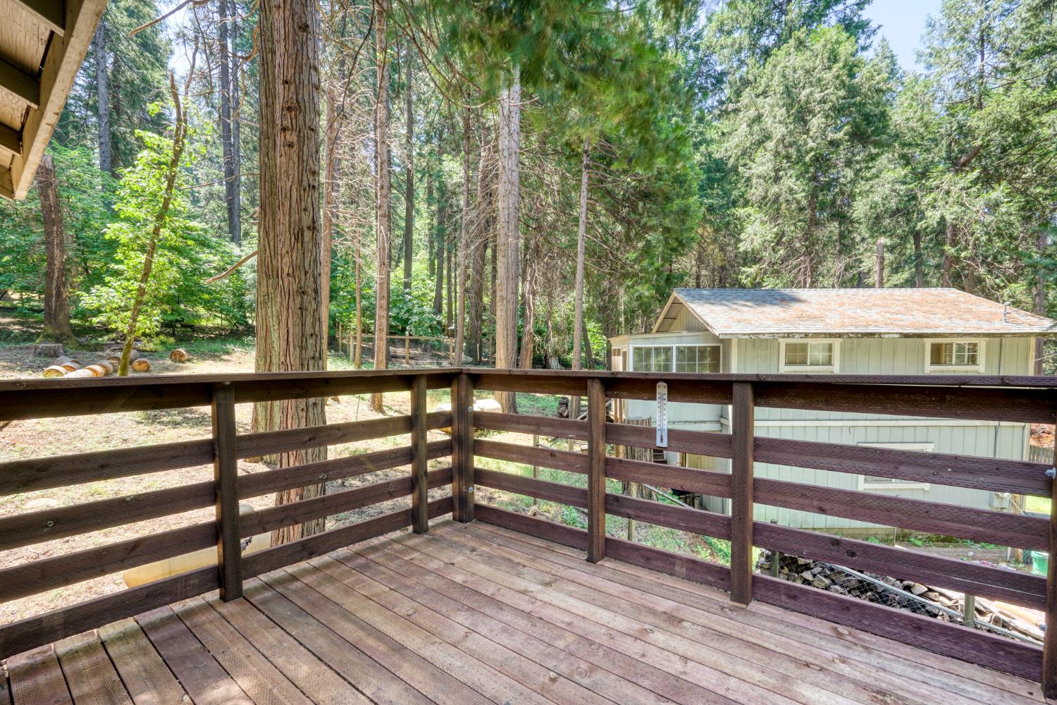 6236 Bucktail Lane
