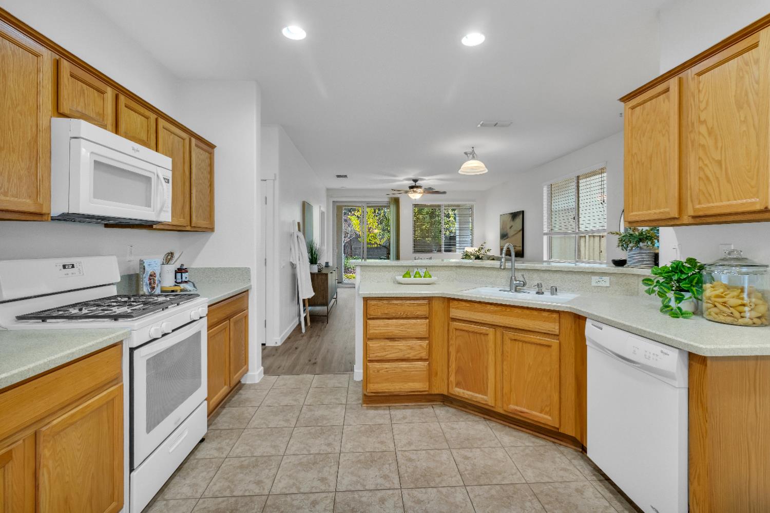 485 Snapdragon Lane