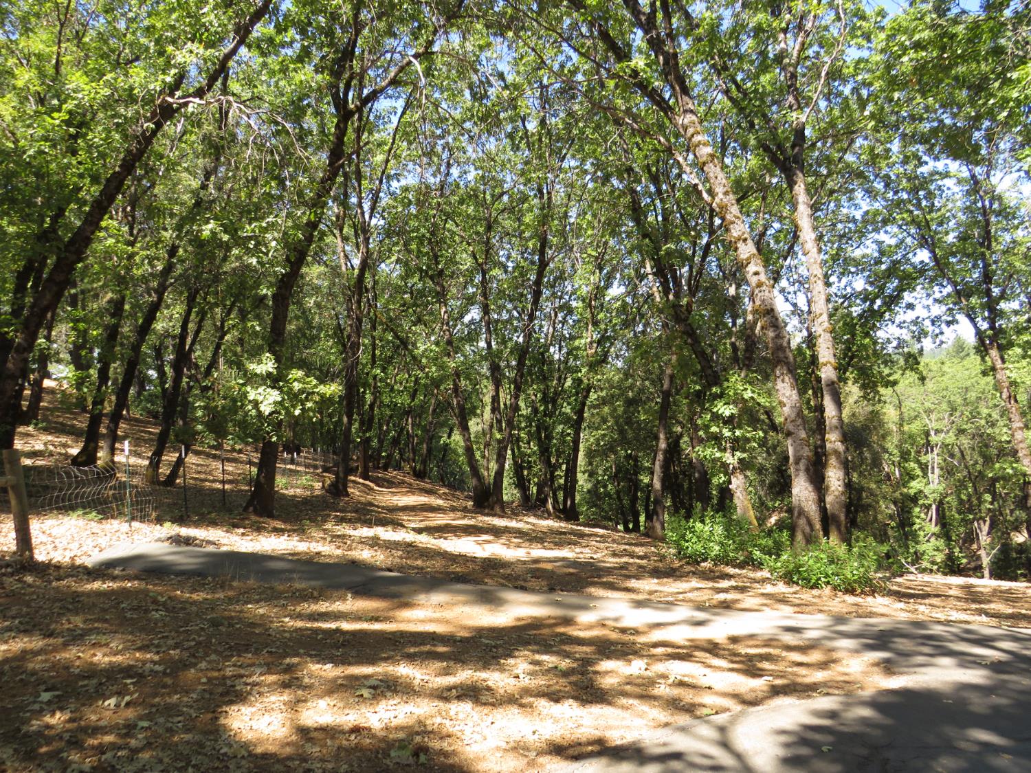 20144 Brushy Ridge Trail