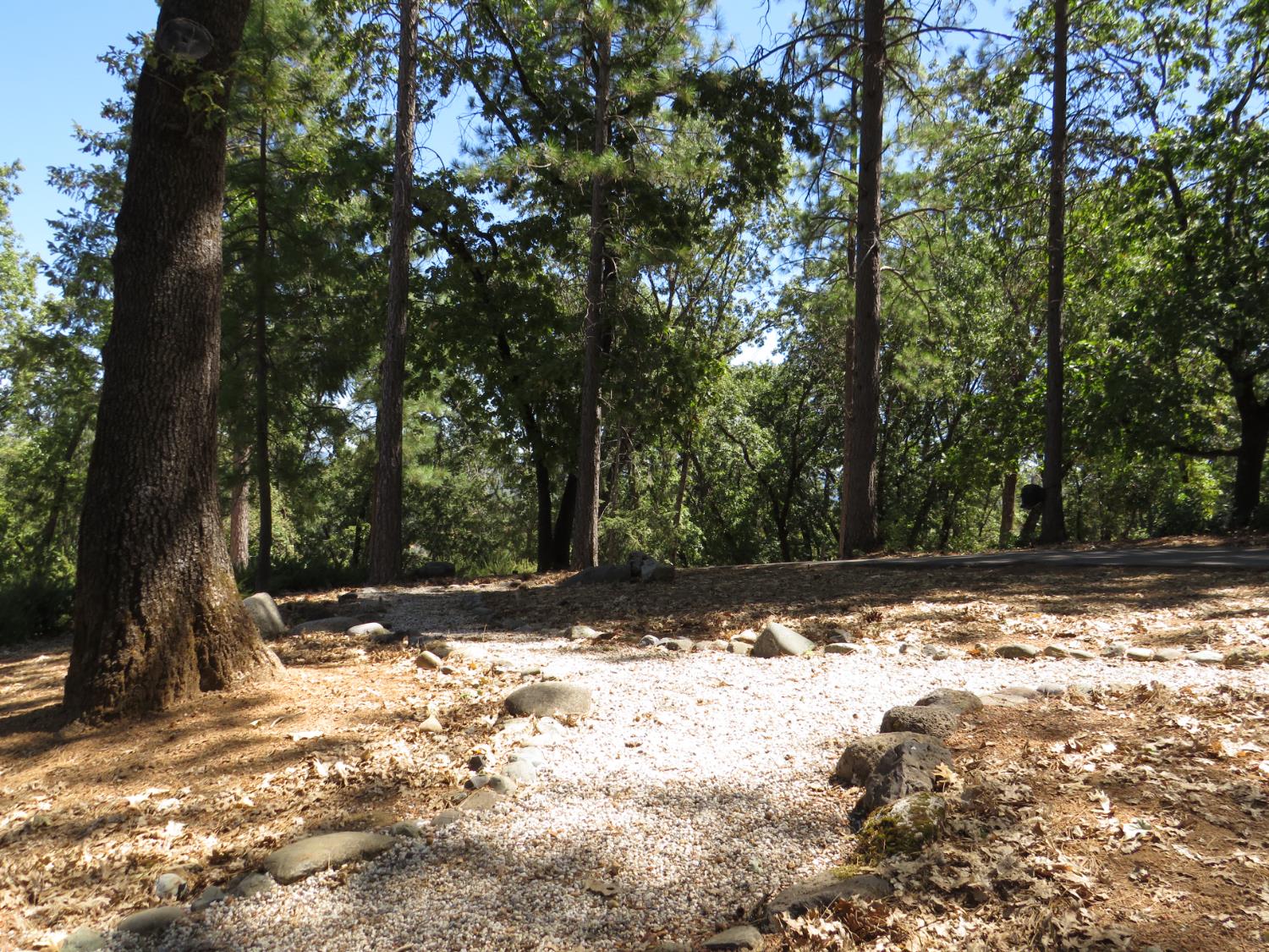 20144 Brushy Ridge Trail