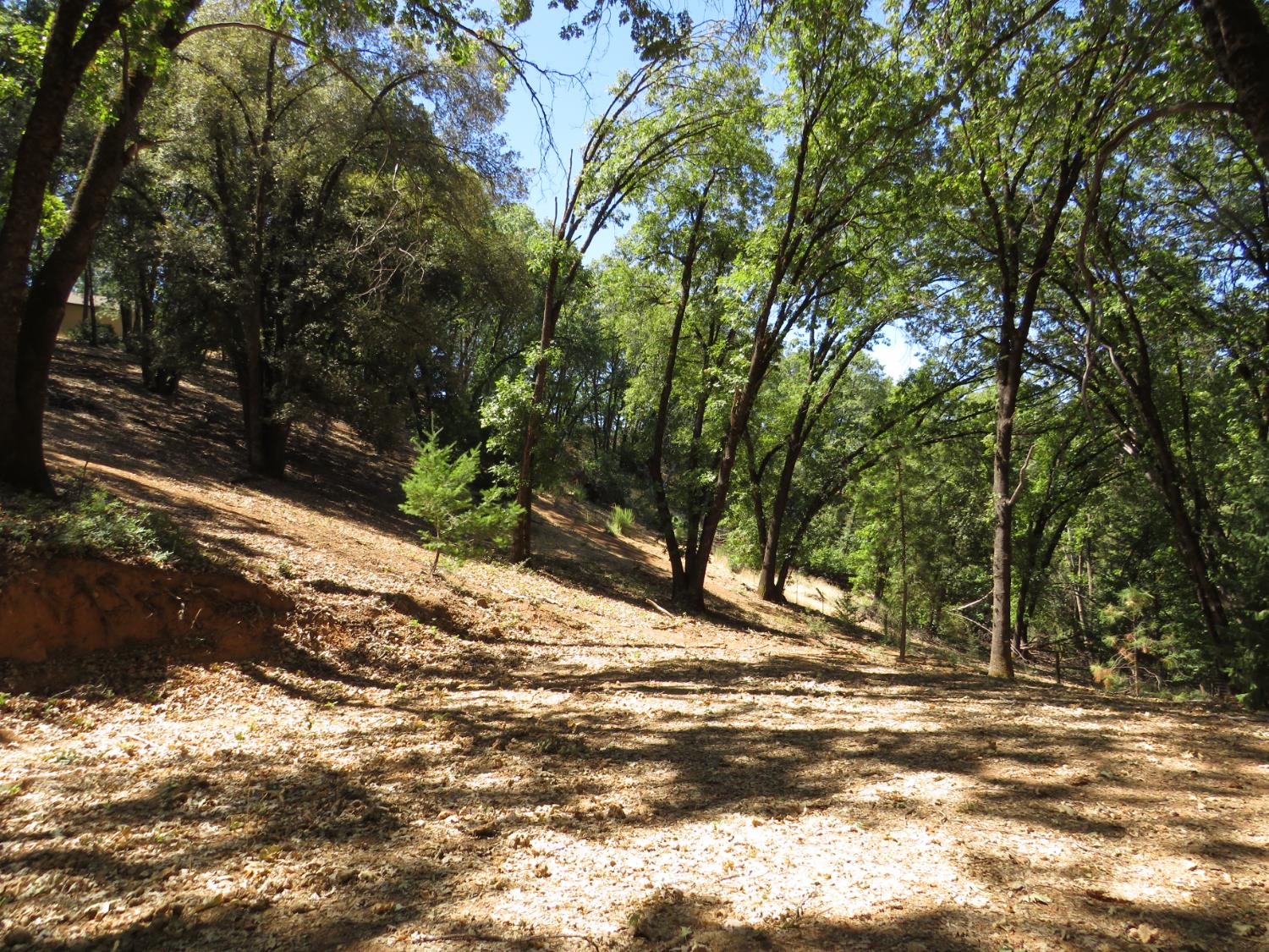 20144 Brushy Ridge Trail