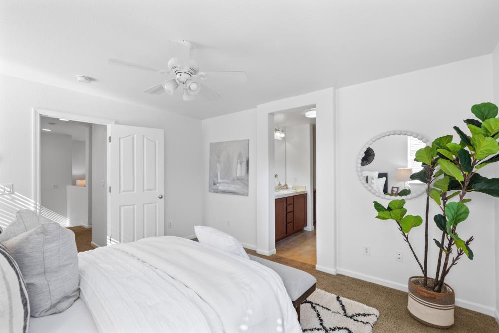 8749 Cortina Circle