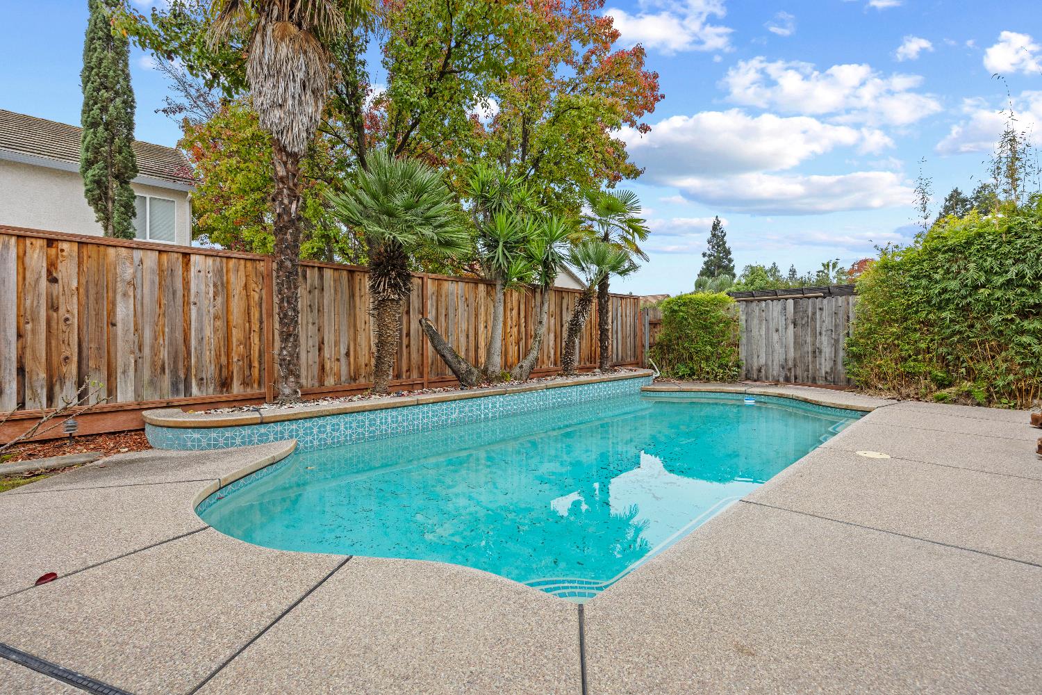 1209 Camino Capistrano