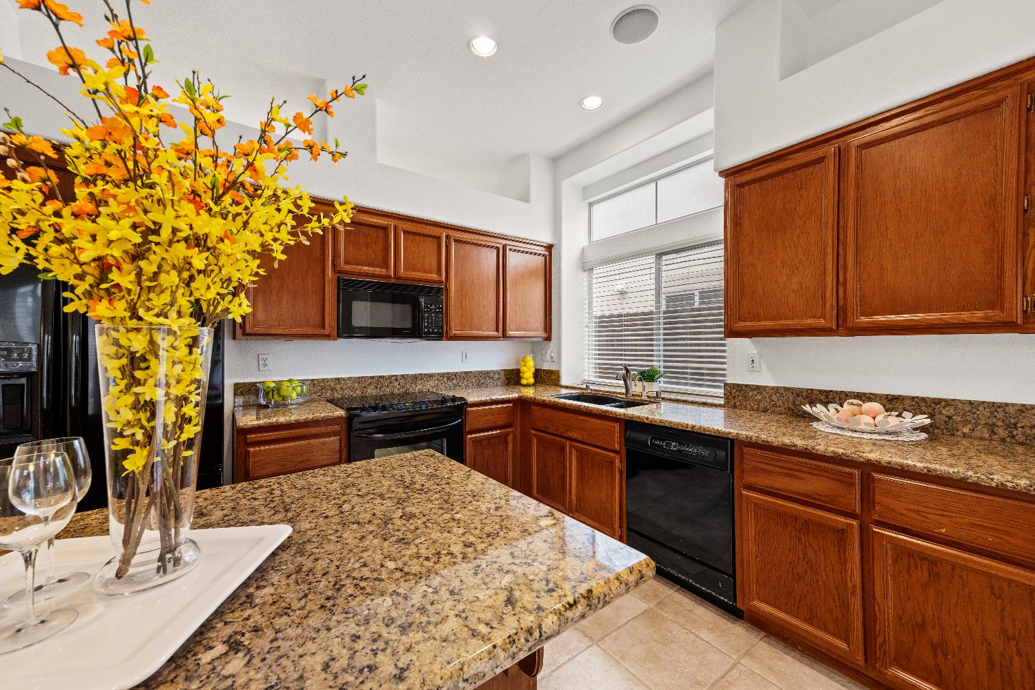 1209 Camino Capistrano