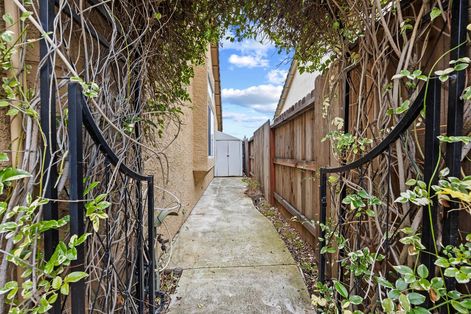 1209 Camino Capistrano