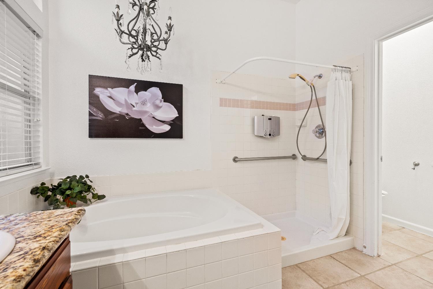 1209 Camino Capistrano