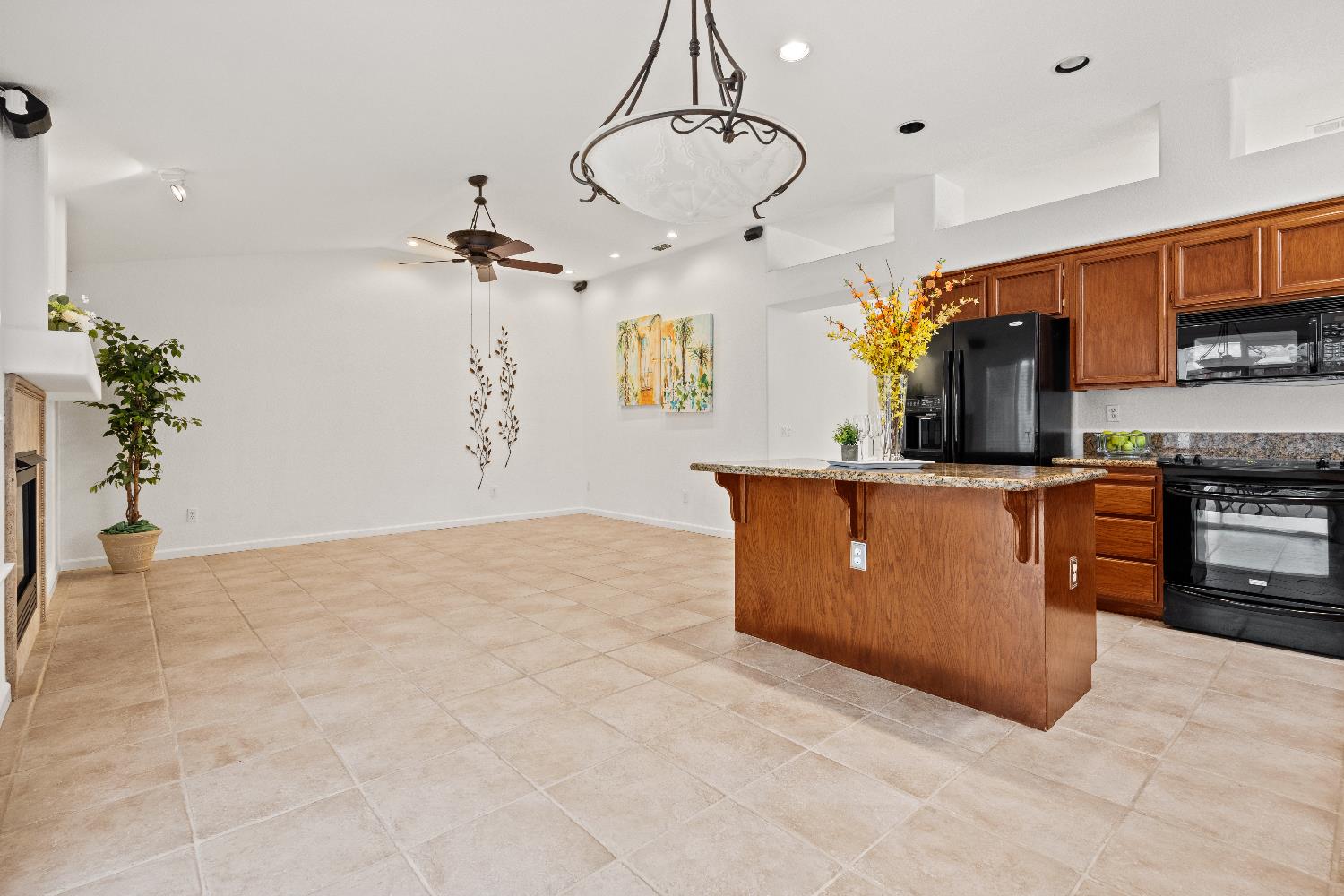 1209 Camino Capistrano