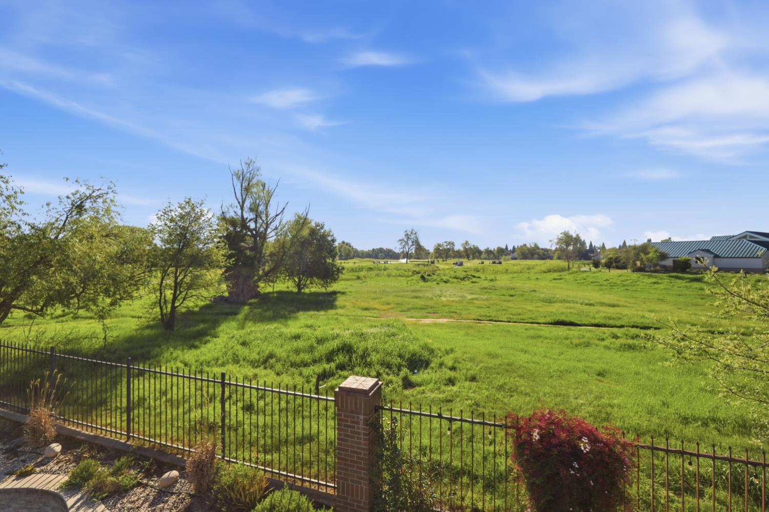 509 Hydrangea Court