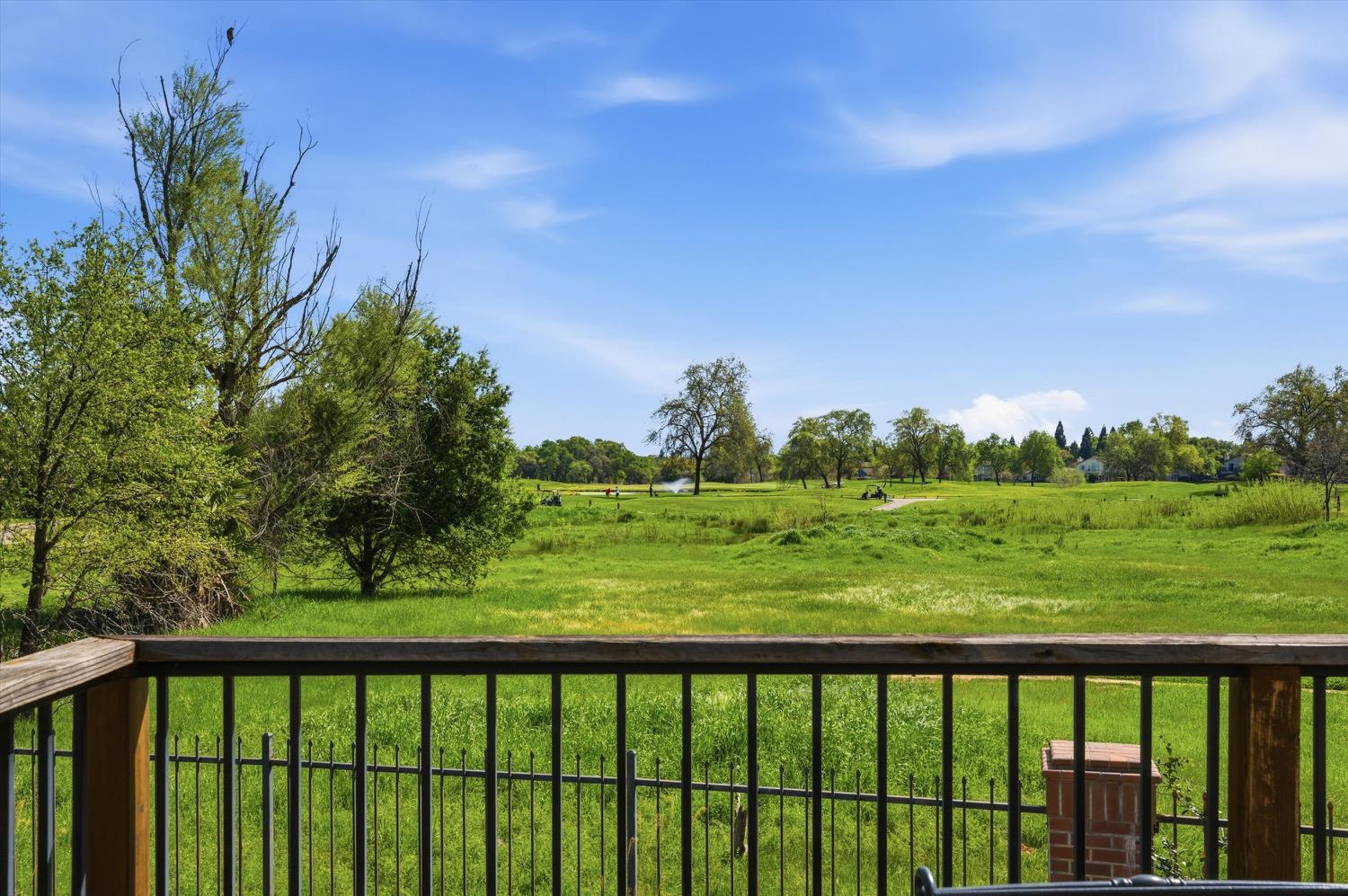 509 Hydrangea Court