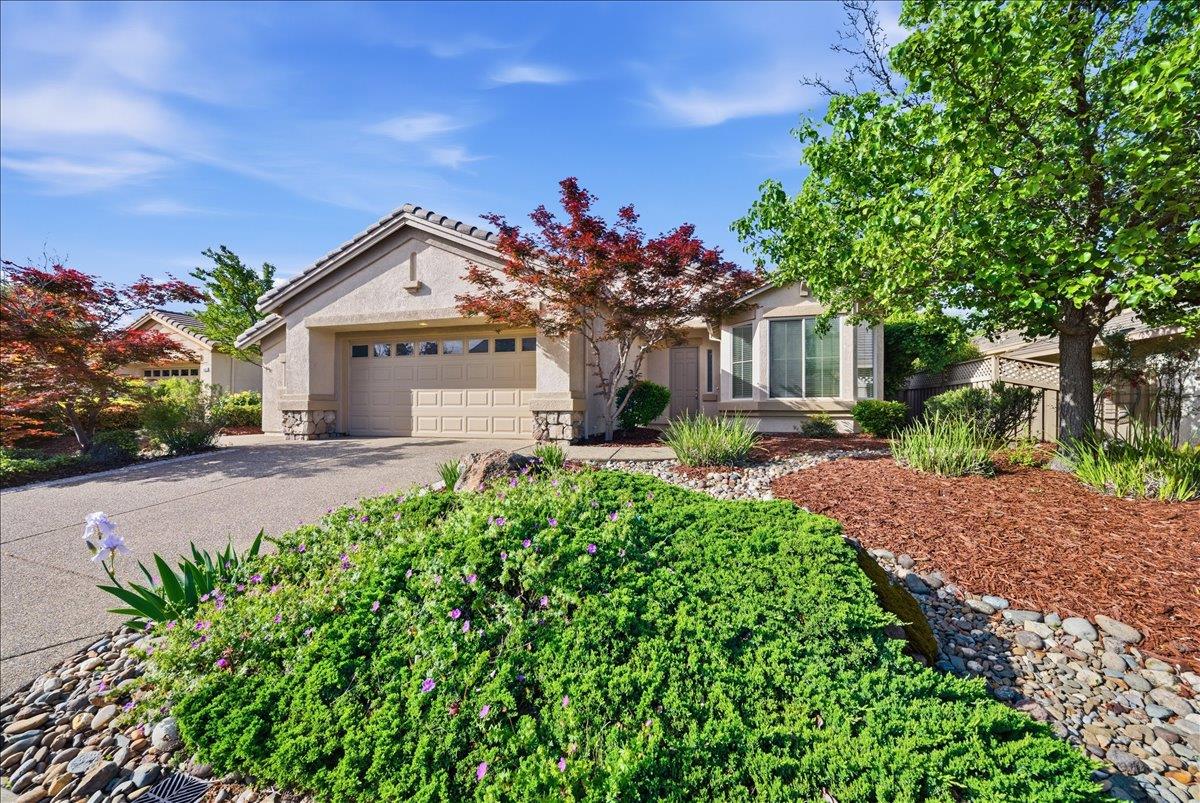 1611 Hackberry Lane