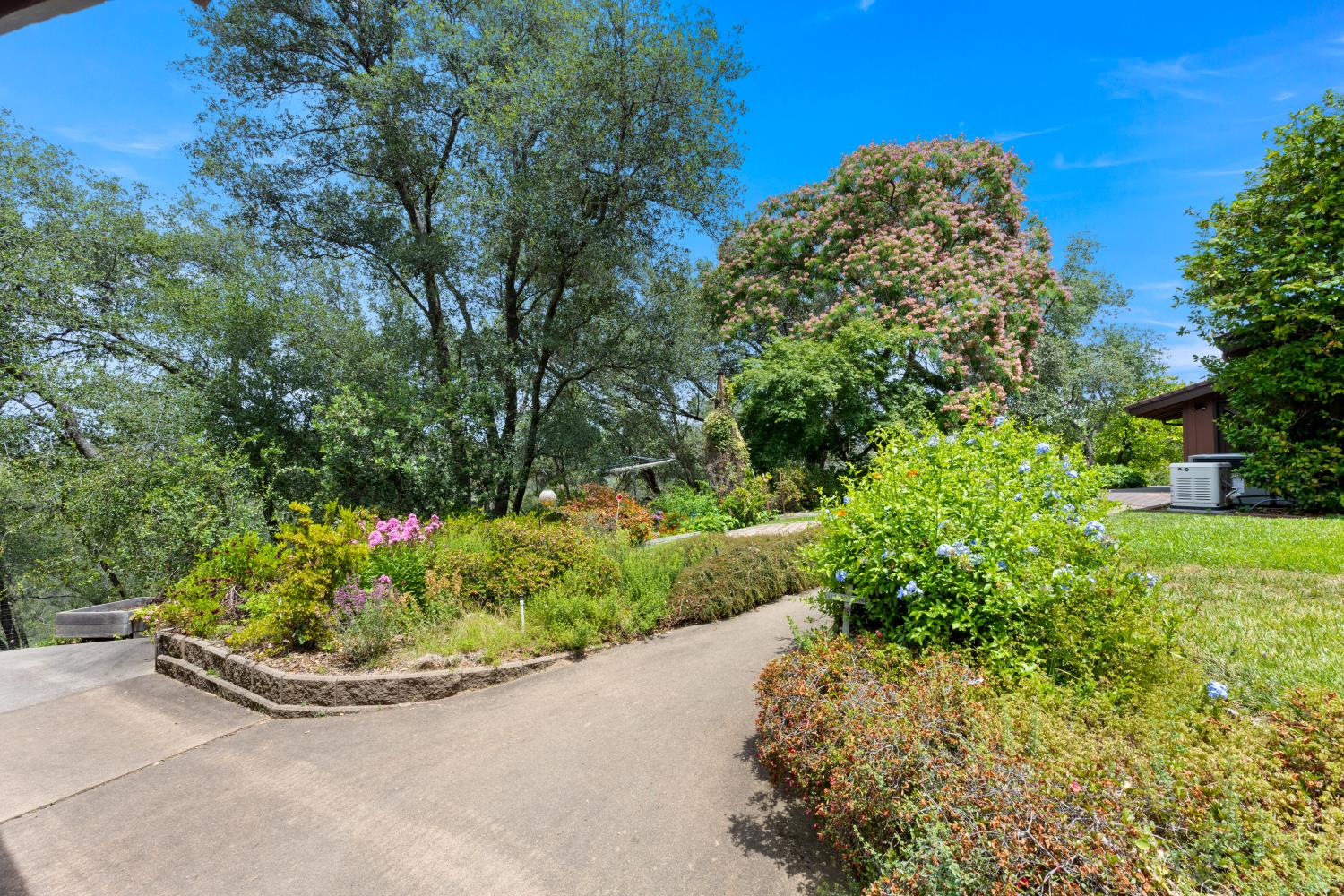 4223 WISE ROAD