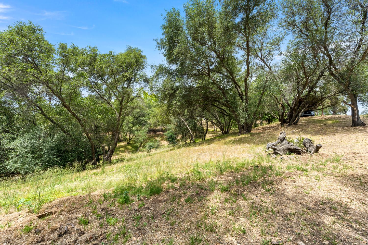 4223 WISE ROAD