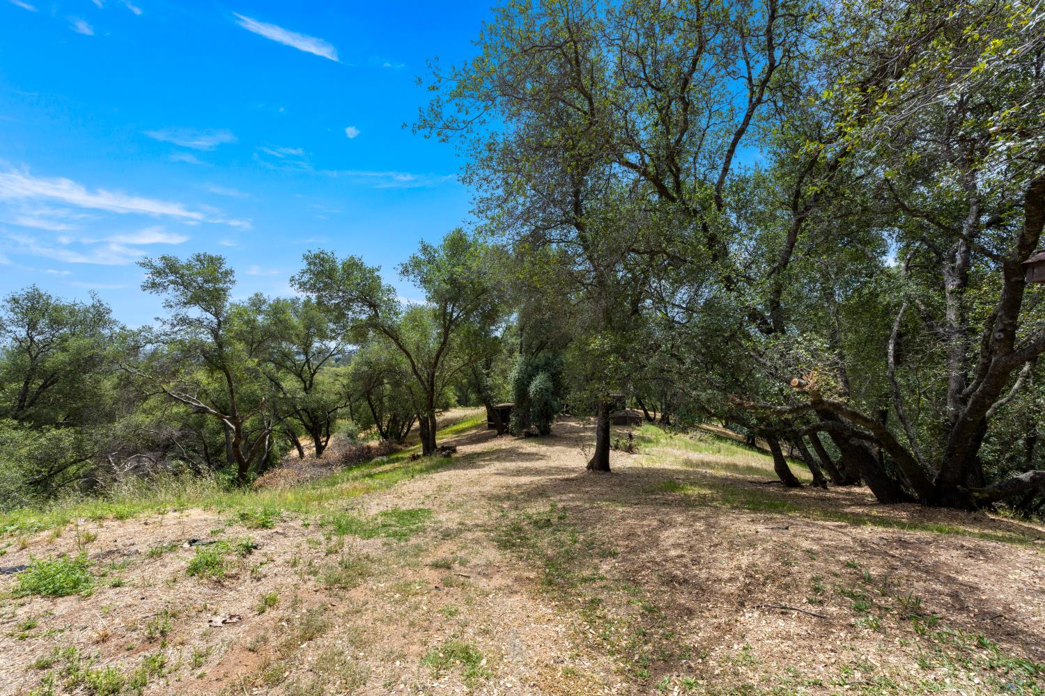 4223 WISE ROAD