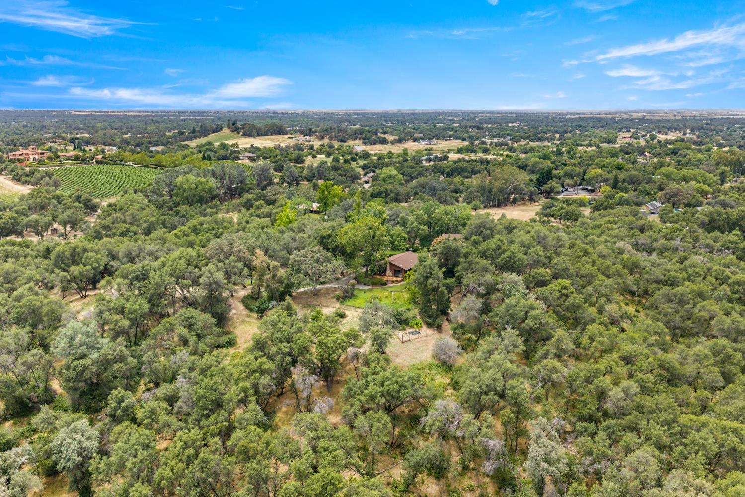 4223 WISE ROAD