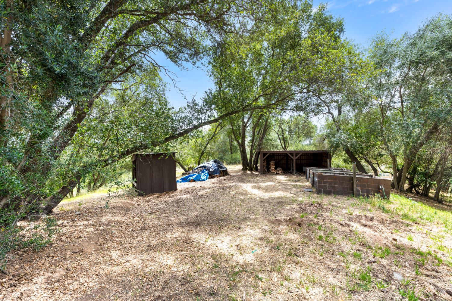 4223 WISE ROAD