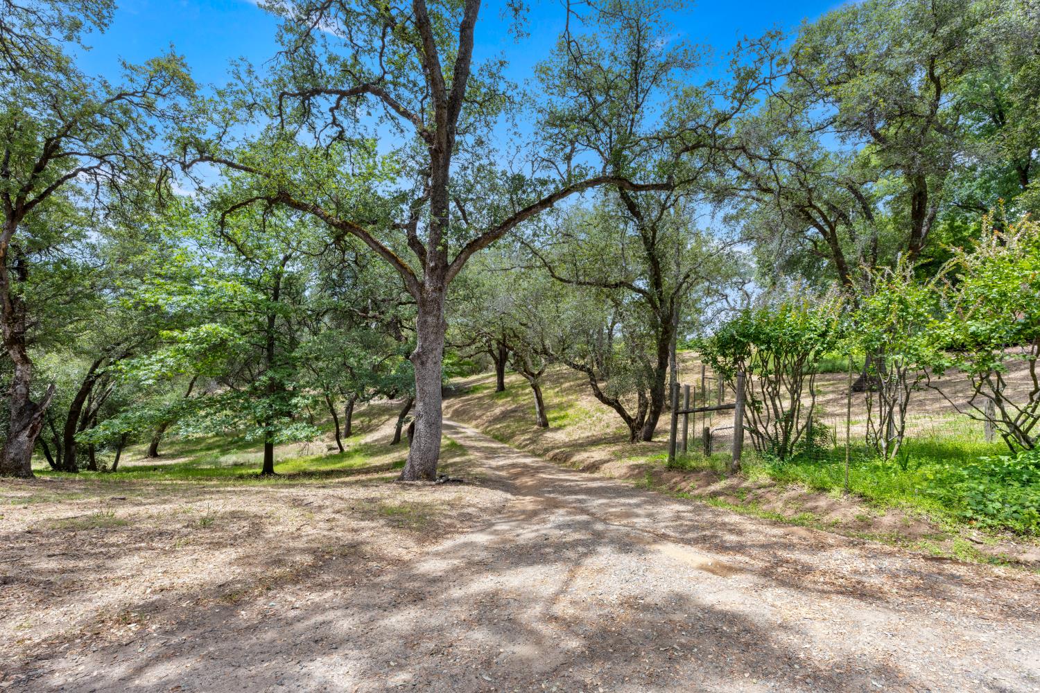 4223 WISE ROAD