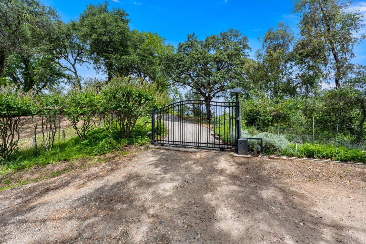 4223 WISE ROAD