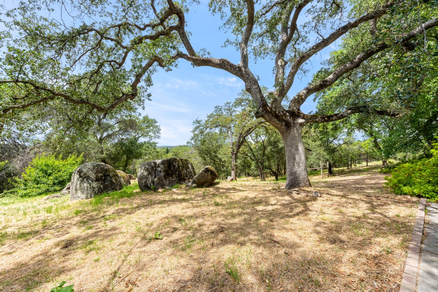 4223 WISE ROAD