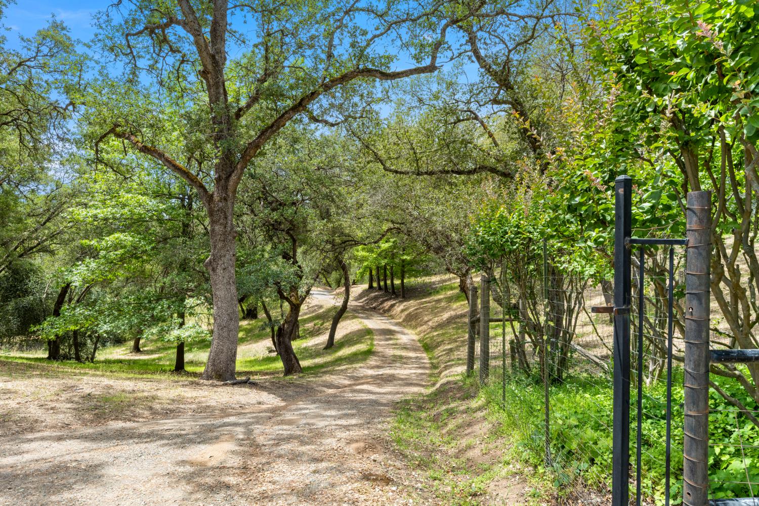 4223 WISE ROAD