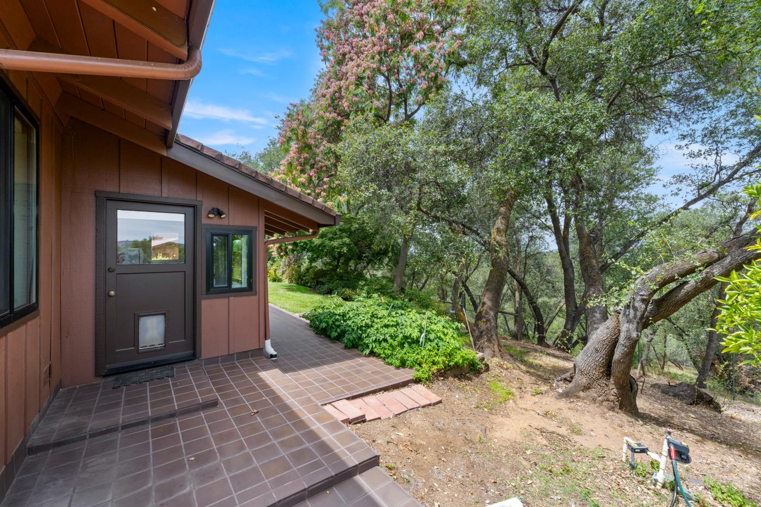 4223 WISE ROAD