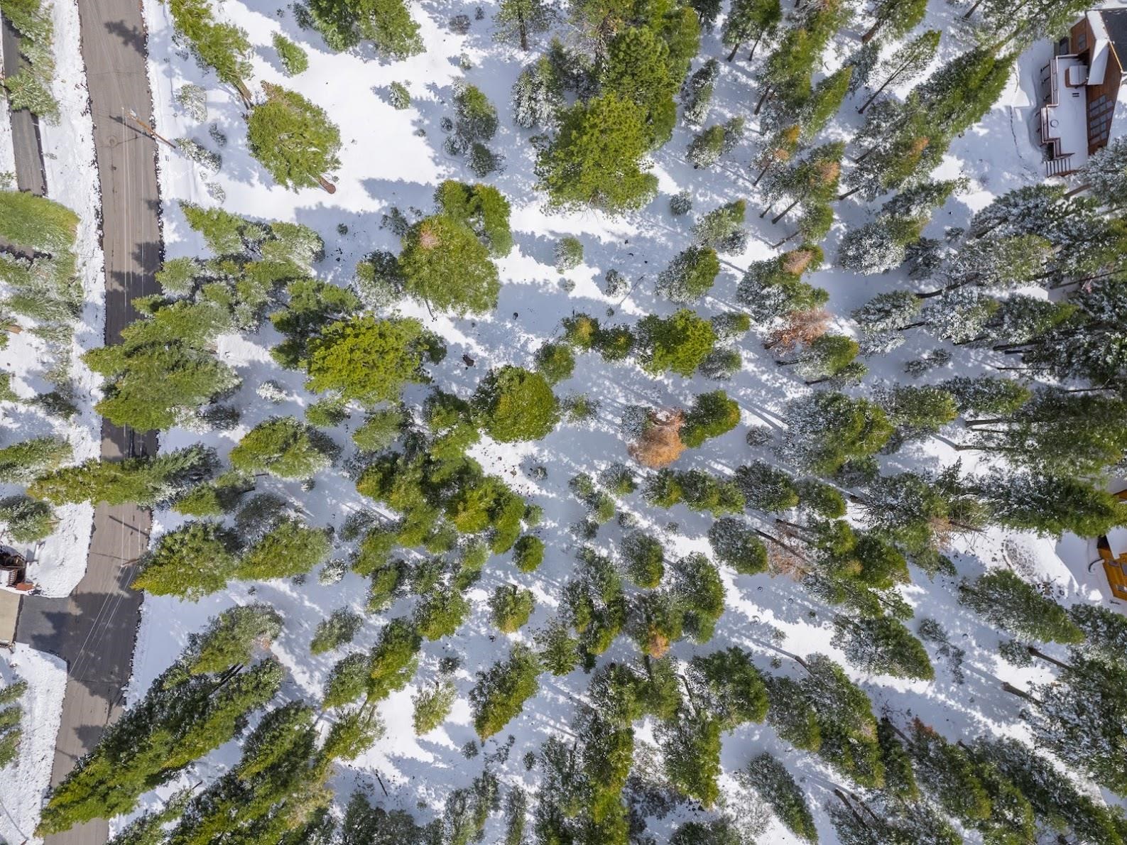 13749 Pathway Avenue