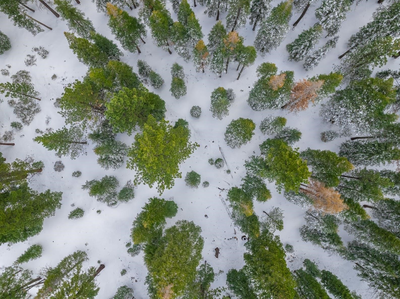 13749 Pathway Avenue