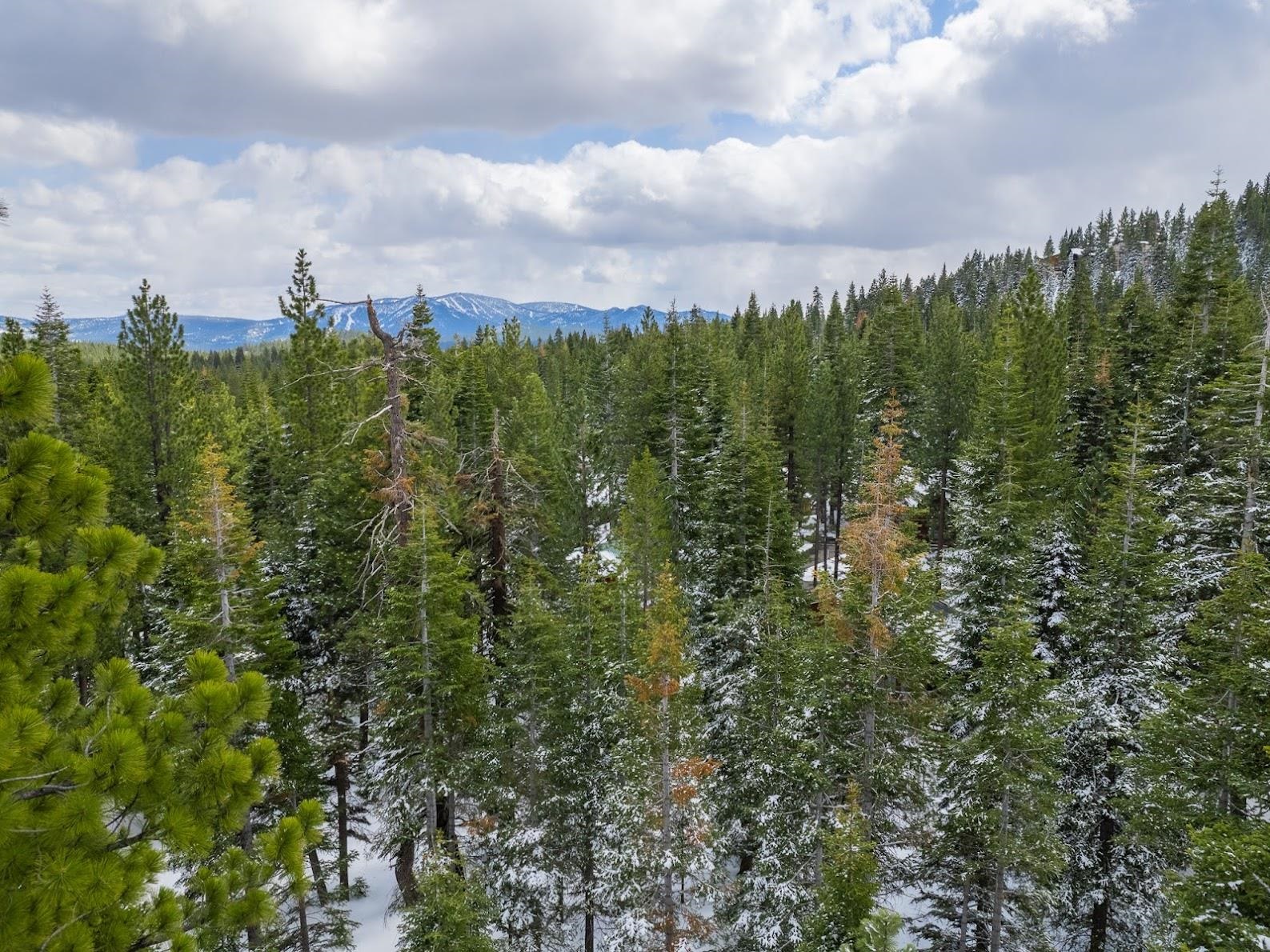 13749 Pathway Avenue