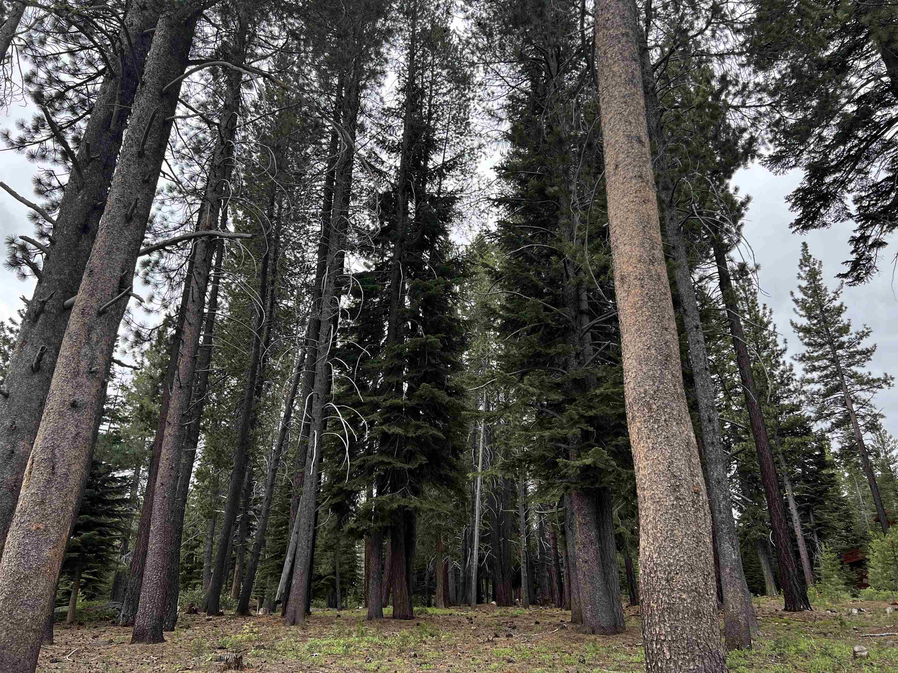 11322 Northwoods Boulevard