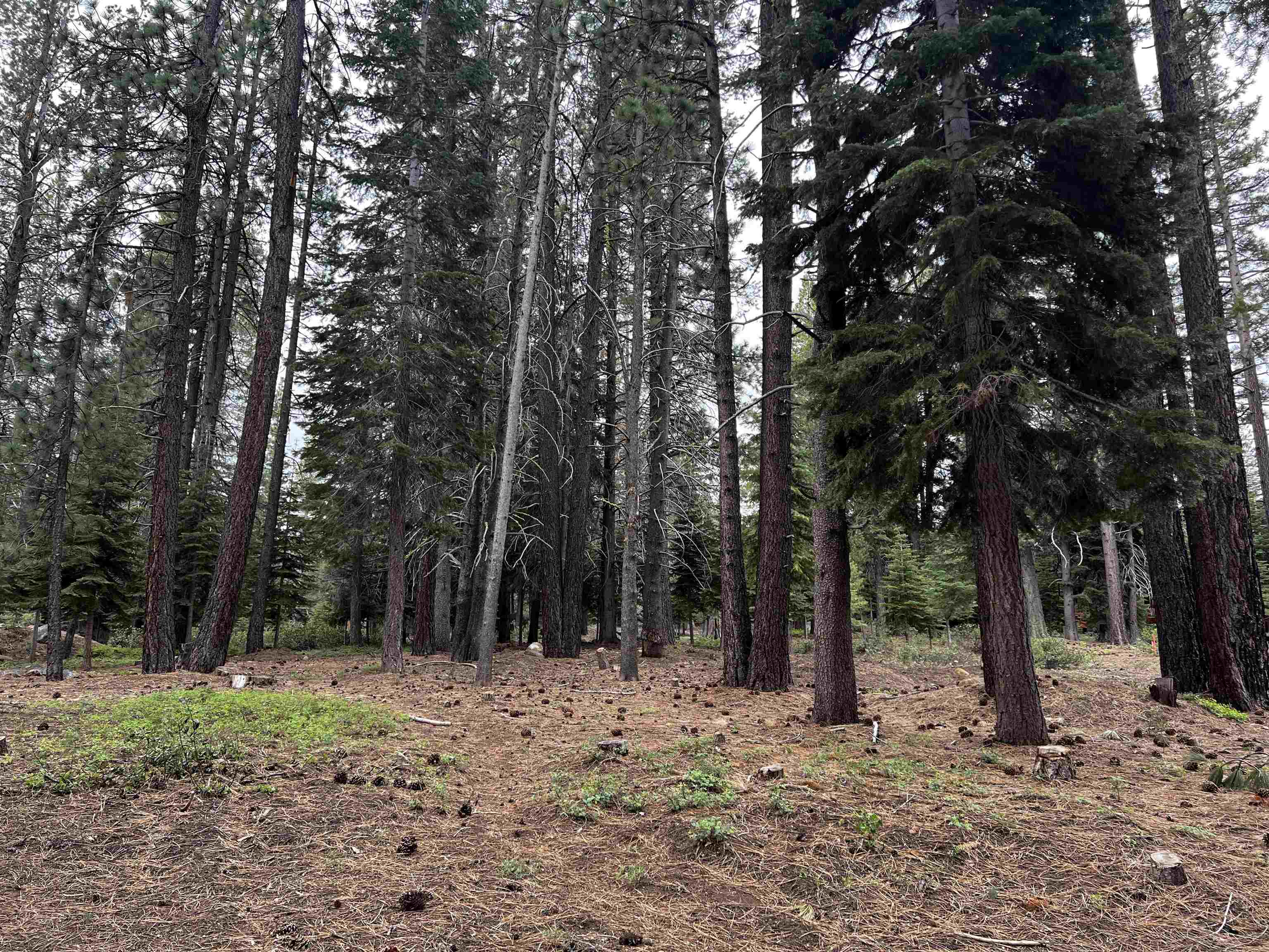 11322 Northwoods Boulevard