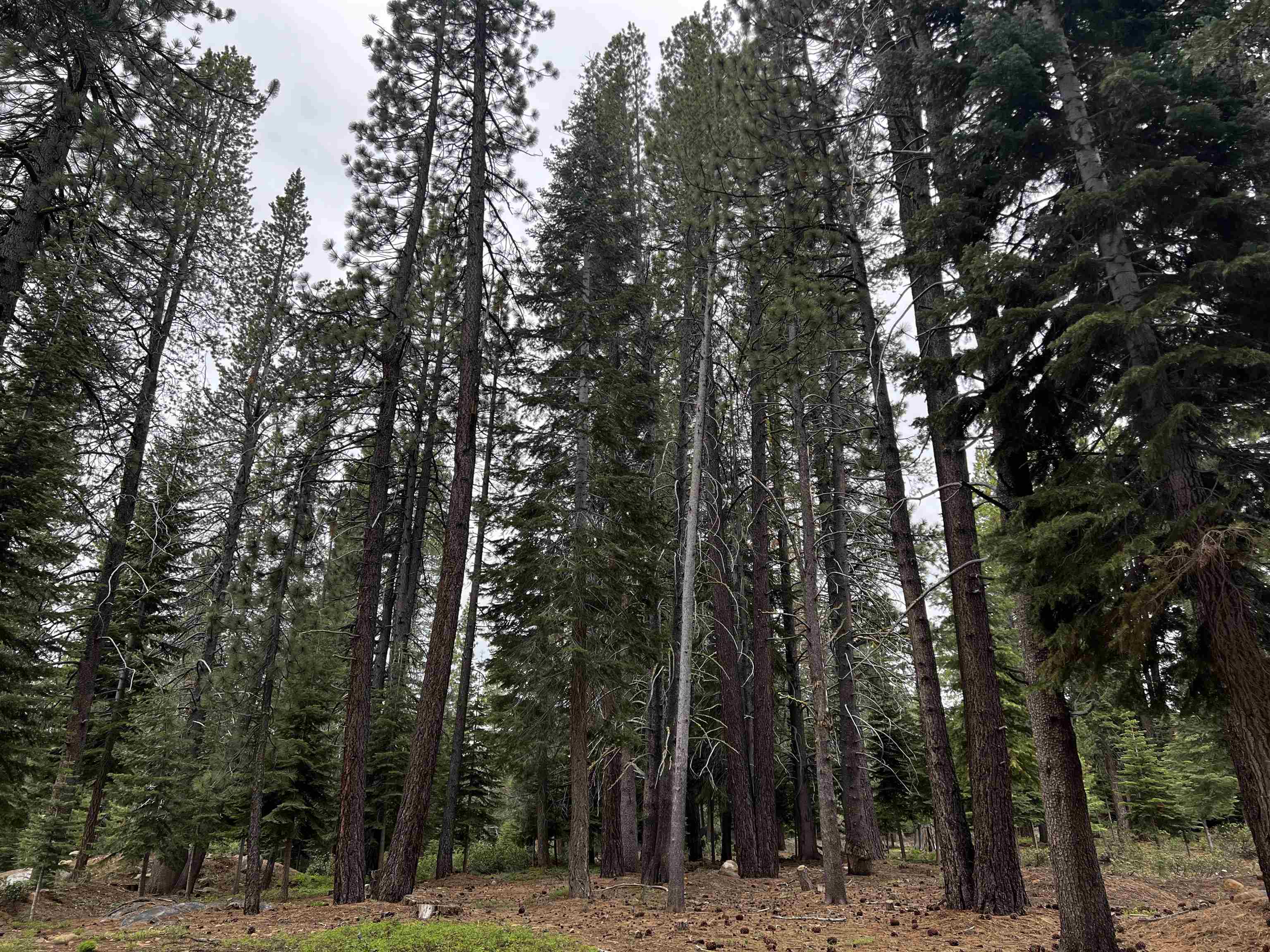 11322 Northwoods Boulevard