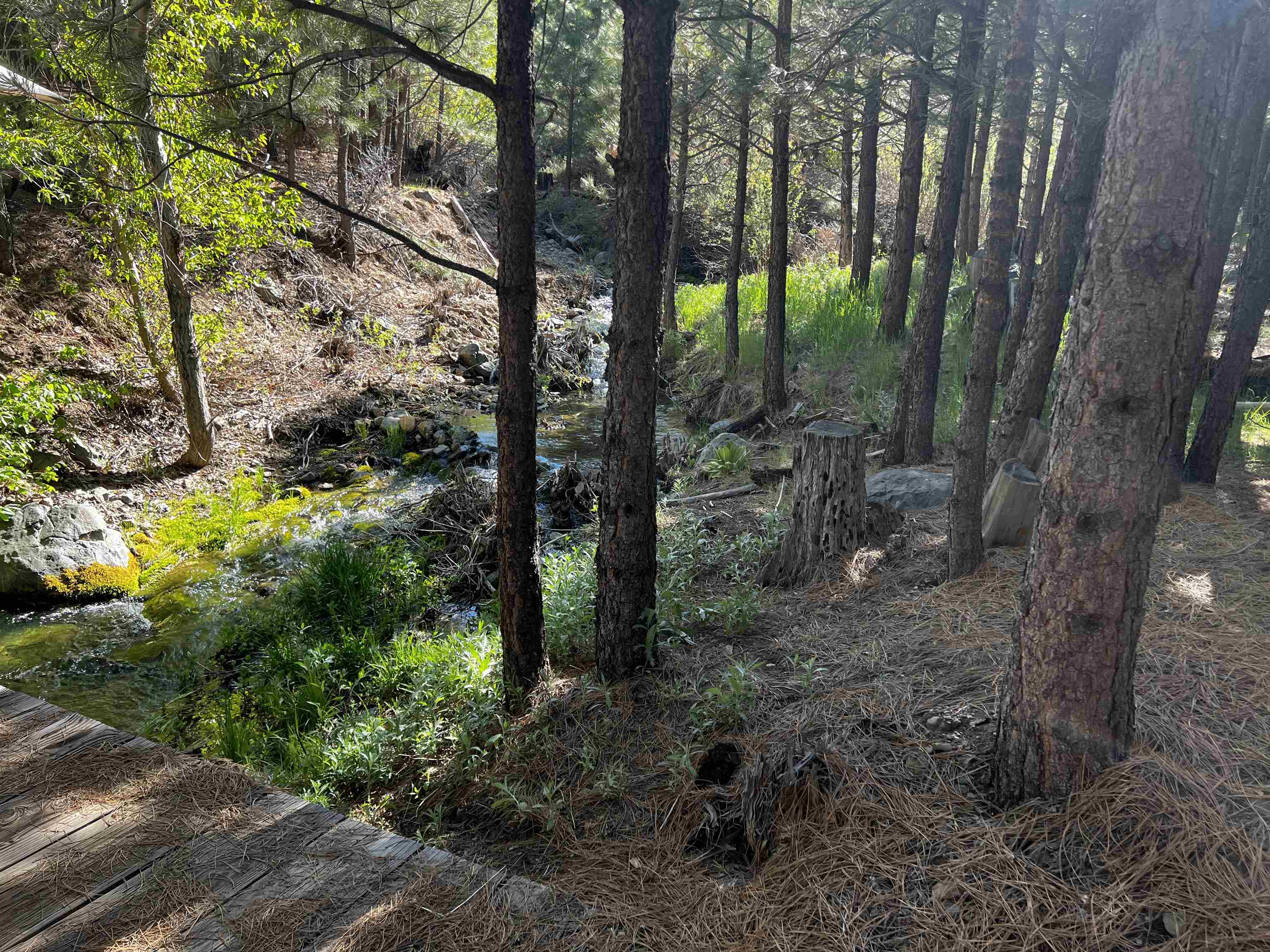 960 Sunrise Creek Road