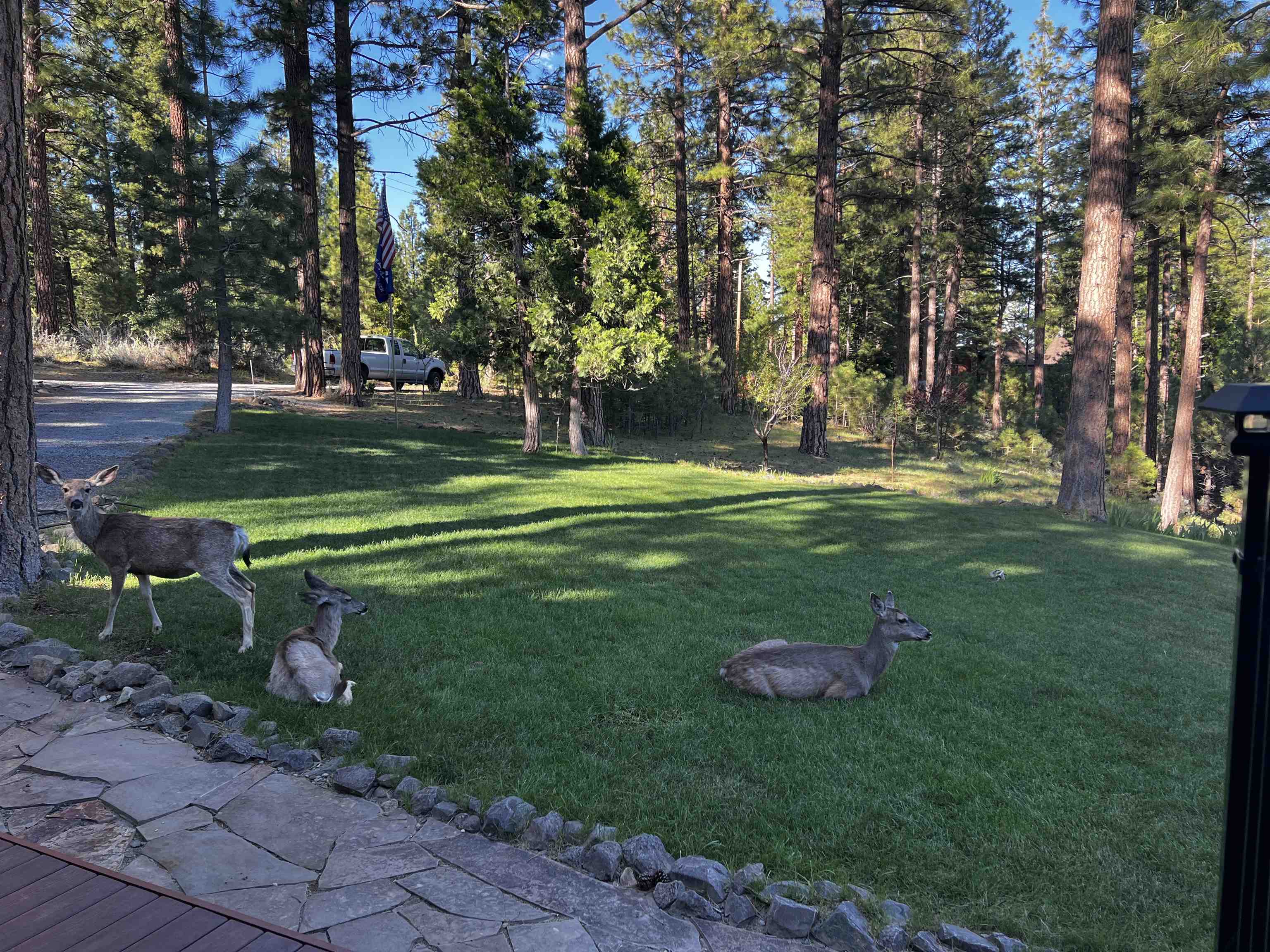 960 Sunrise Creek Road