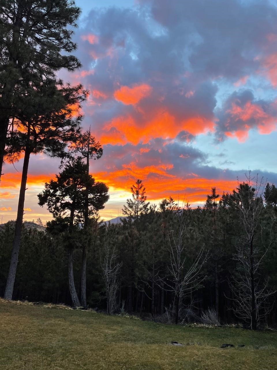 960 Sunrise Creek Road