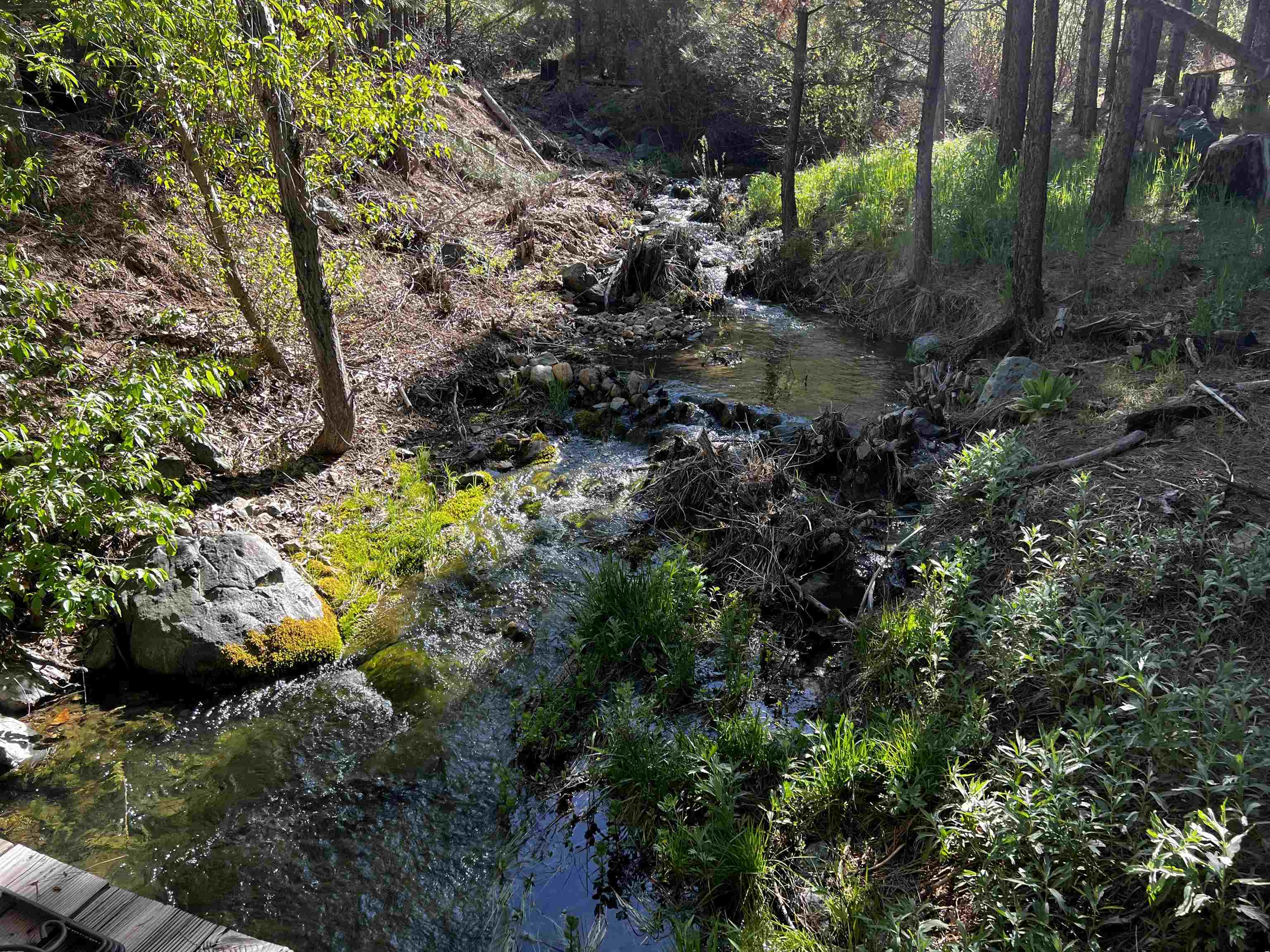 960 Sunrise Creek Road