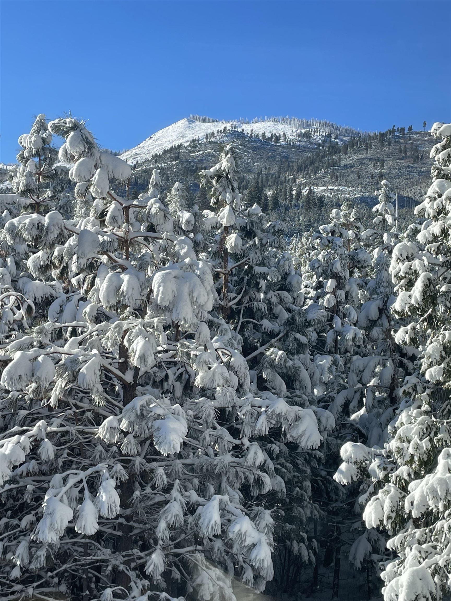 960 Sunrise Creek Road