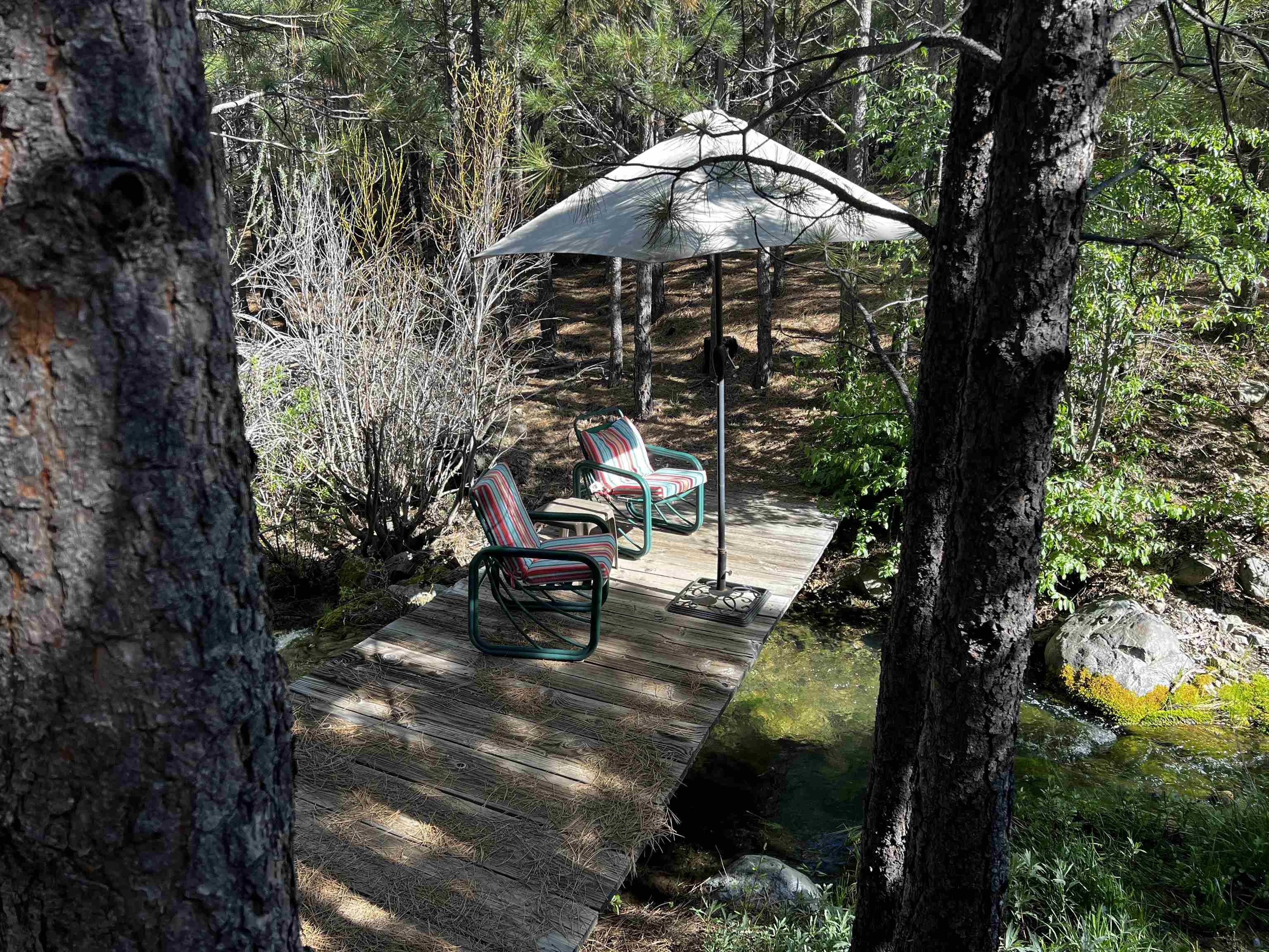 960 Sunrise Creek Road