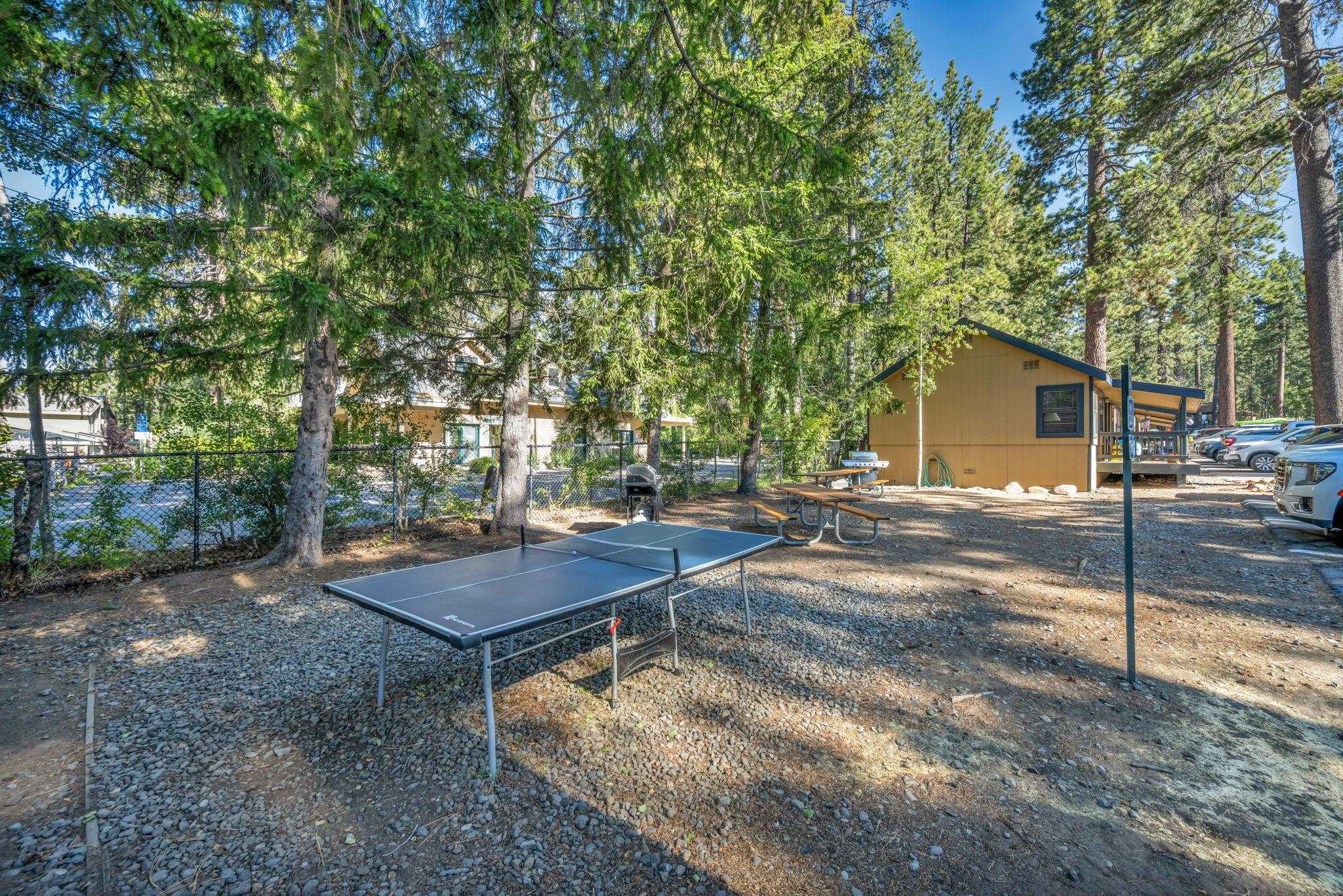 Outdoor ping-pong table and picnic tables beneath pine trees beside a small yellow building.