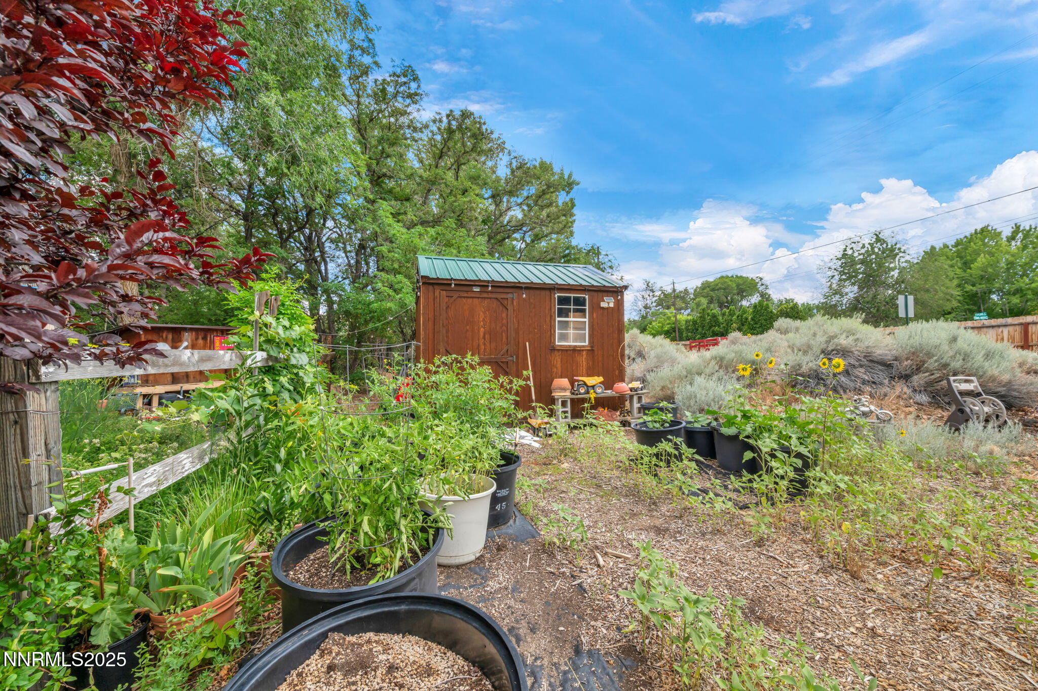 2455 W Plumb Lane