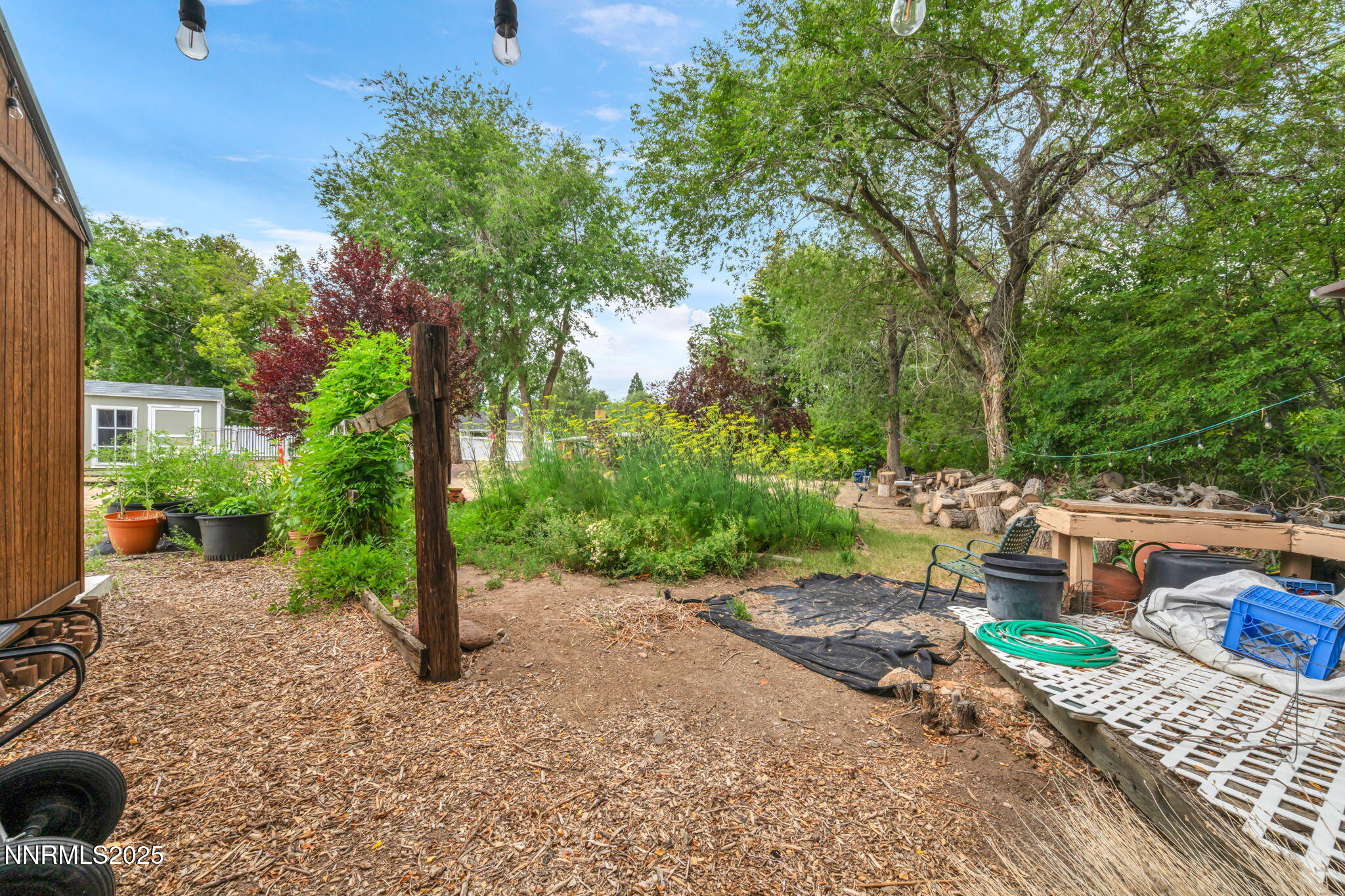 2455 W Plumb Lane