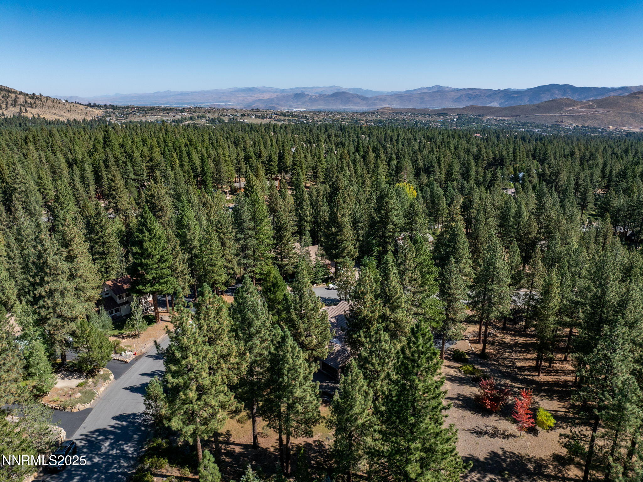 355 Blue Spruce Road