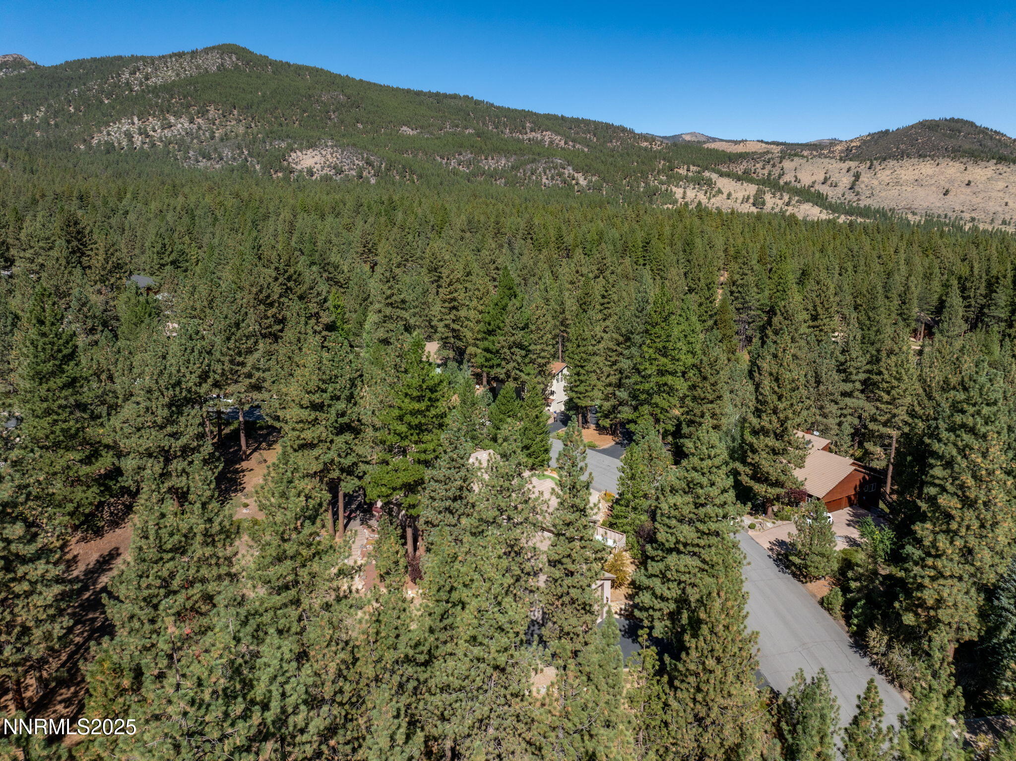 355 Blue Spruce Road