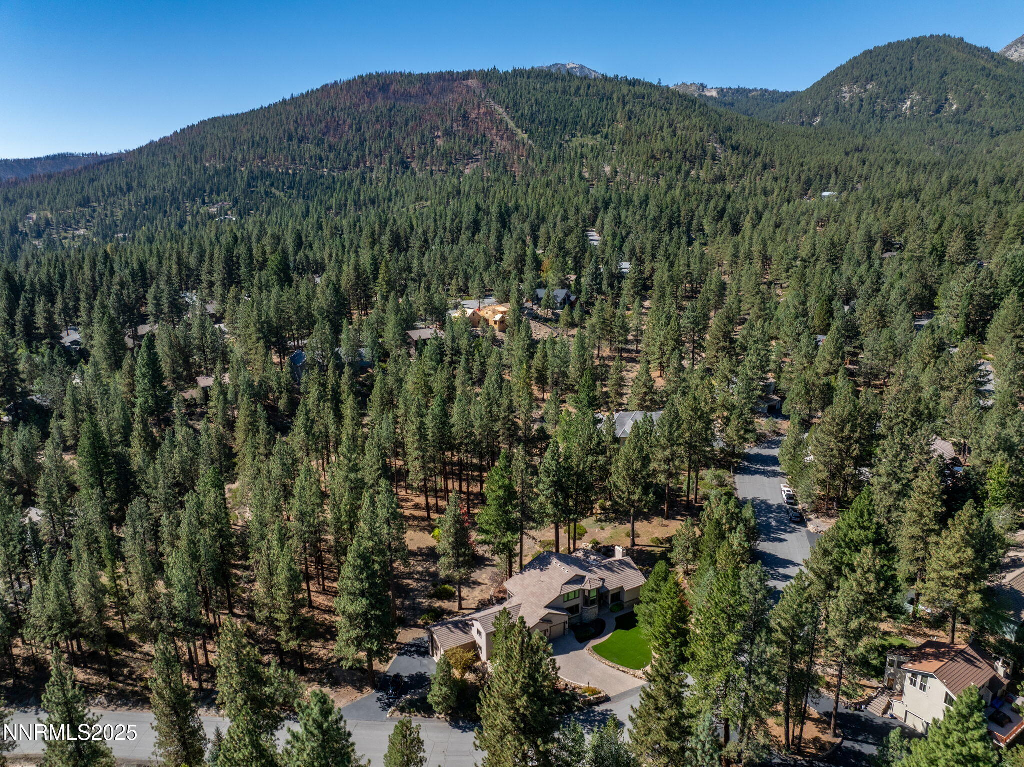 355 Blue Spruce Road