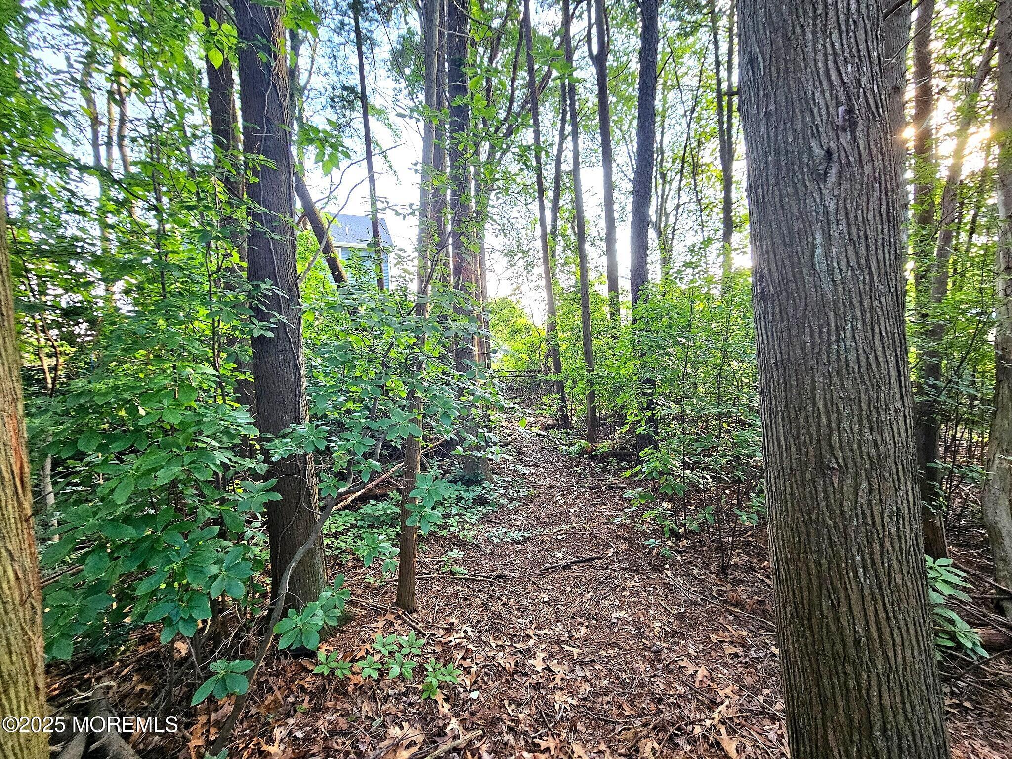 74 Gloria Ann Smith Drive