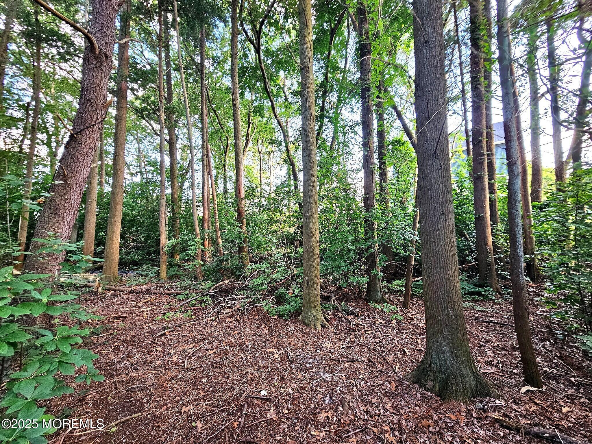 74 Gloria Ann Smith Drive